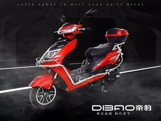 Pinghu  Lubao  Karozzi  Co.,  Ltd.